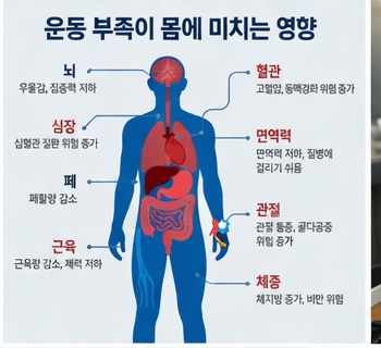 운동 부족이 몸에 미치는 영향 인체 인포그래픽